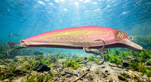 Load image into Gallery viewer, pink jerk bait
